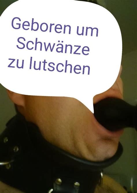 schwanz lutschen|Schwanz Lutschen Porno Videos .